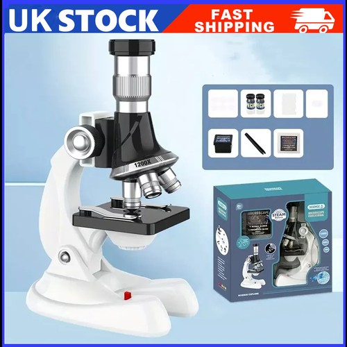Upright optical microscope - upright,