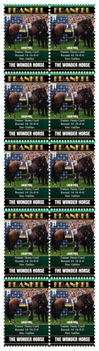 Frankel horse racing champion - horse,