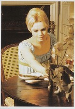 Edie Sedgwick, postcard, postcard, carte postale