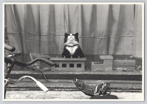 Postcard black white - postcard,