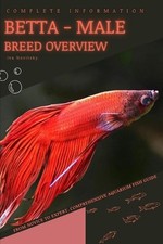 Betta - male: From Novice to