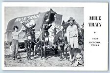 Victoria Texas Postcard Mule