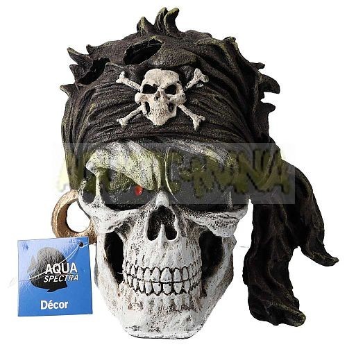 Aqua spectra decorated skull - decorated,
