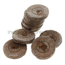 Jiffy plug peat - jiffy, 7