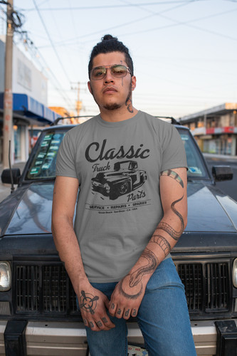 Classic f100 american - classic,