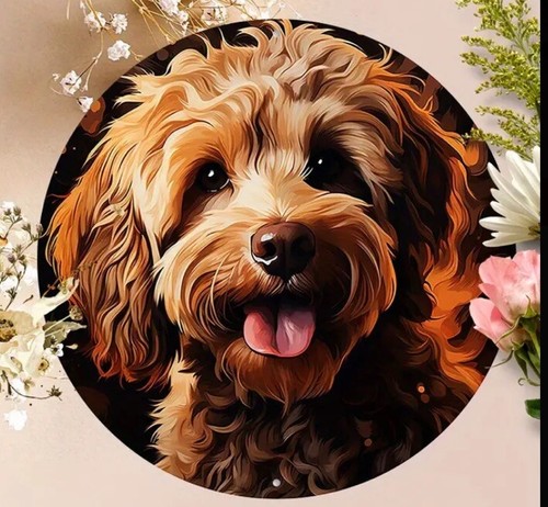 Cavapoo cockapoo dog metal - cavapoo, 2d