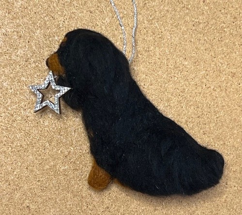 Cavalier king charles - cavalier, spaniel