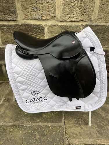 Falcon pony gp - falcon,