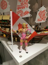 WWE Owen Hart Ultimate Edition