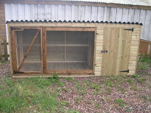 Merrington chicken house - chicken, x