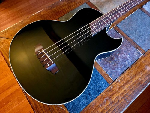 Washburn 10 - washburn, ab-10