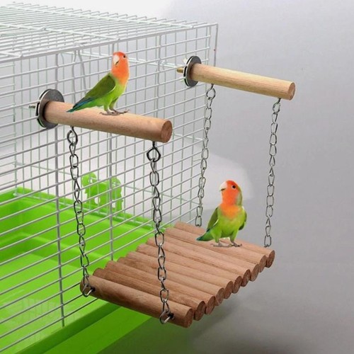 Parrot toys metal - metal, ladder