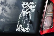 Patterdale Terrier on Board