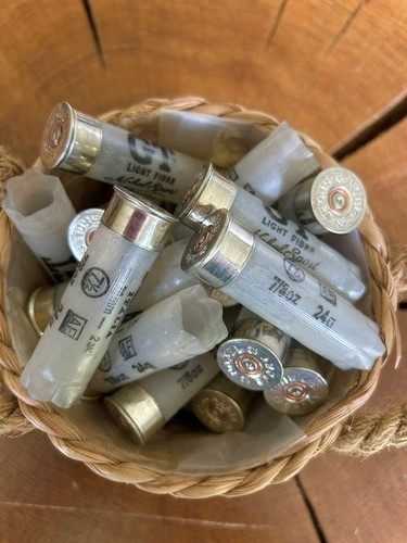 Spent shotgun cartridge cases - shotgun,