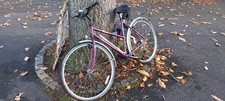 Raleigh Pioneer Womens Bike