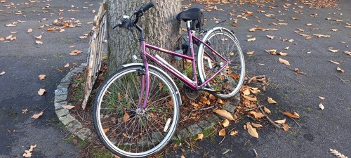Raleigh pioneer womens - womens, bike