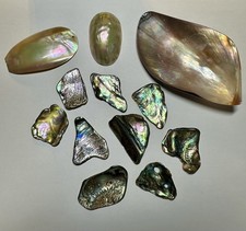 Premium Abalone & Mother of