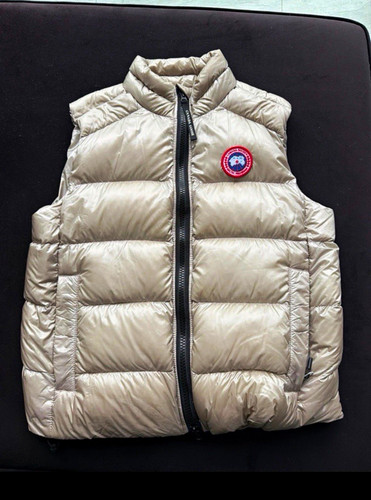 Canada goose arctic - goose,