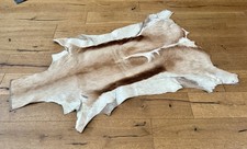 South African Springbok Hide Fur Rug Christmas Decoration 100cm x 70cm