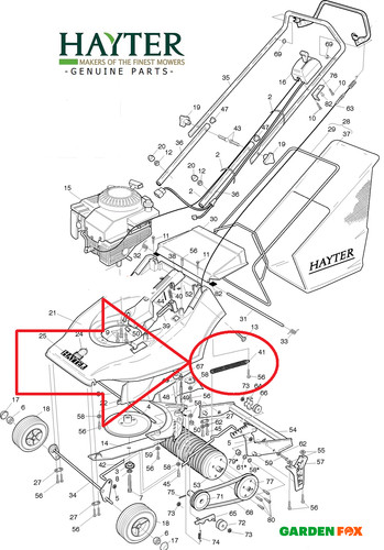 Genuine hayter harrier hawk - genuine,