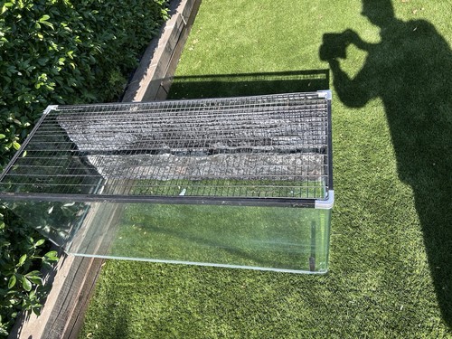 Large glass reptile - large, vivarium