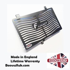 BMW F800GT (13-20) Stainless