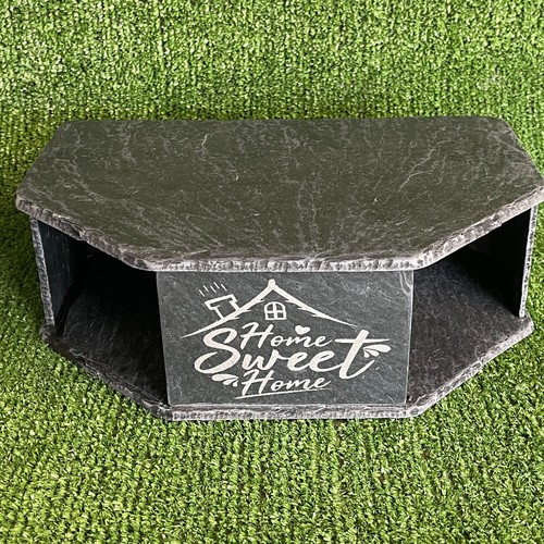 Reptile aquatic natural - aquatic, slate