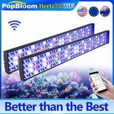 DSunY Marine Led Aquarium