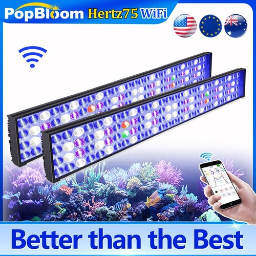 Dsuny marine led aquarium - marine,