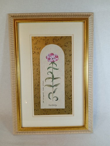 Framed sweet william - framed,