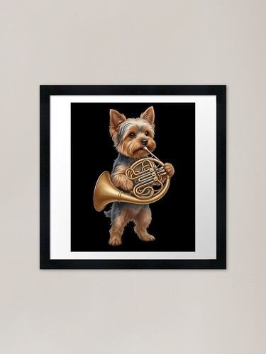 Yorkshire terrier playing - yorkshire,