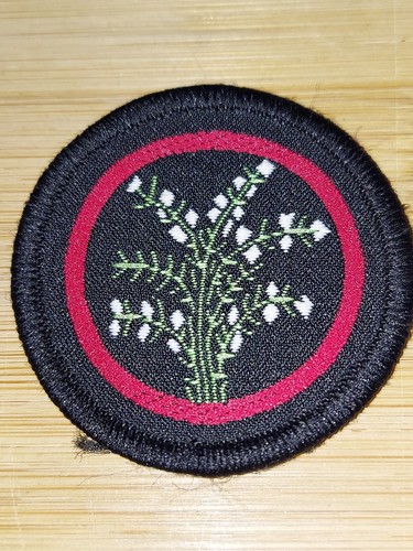 Girlguiding girl guides - girlguiding,