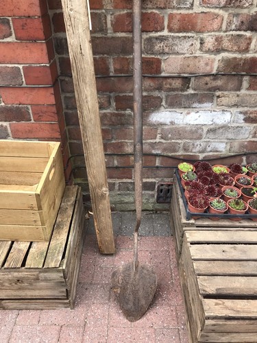 Reclaimed antique turf cutting - antique,