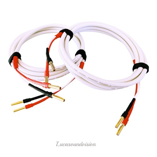 Chord odyssey audio - odyssey,