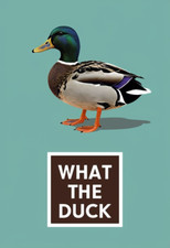 What The Duck metal sign,Vibrant humorous  sign, Plaque