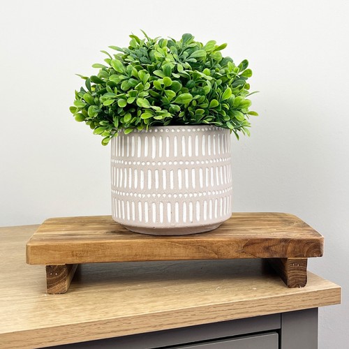 Plant pot stand display 5cm - plant, 31.5cm