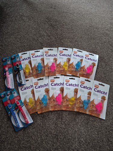 Cat toy and collar - cat, a