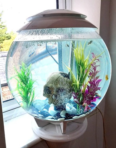 Biorb aquarium filter upgrade - biorb,