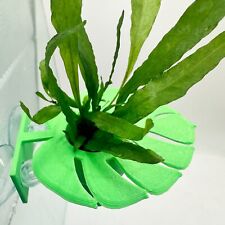 Java Fern Betta Ledge Hammock Monstera Leaf Aquarium Decor Fighting fish Rest