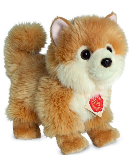 Pomeranian teddy hermann - pomeranian, by