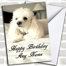 White Poodle Personalised