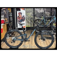 Giant Anthem Advanced 29 3