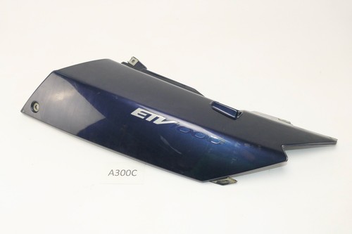 Aprilia etv 1000 - 1000, capo