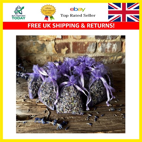 Natural lavender moth - lavender,