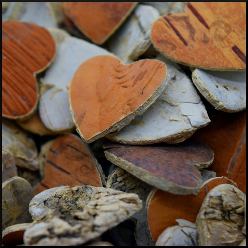 Birch tree bark hearts - x,