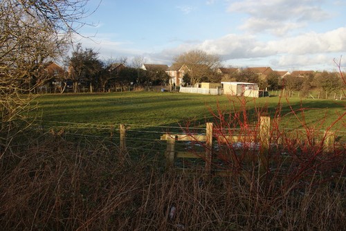 Photo small plot - photo, grazing
