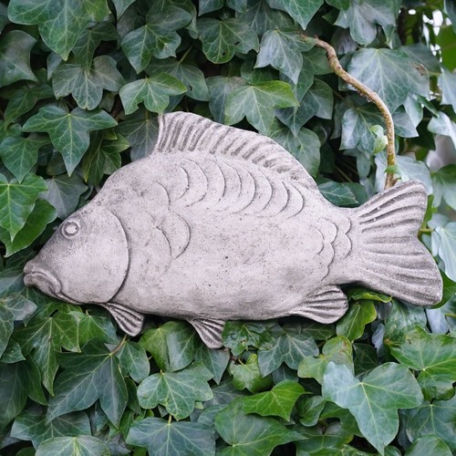 Mirror carp stone - carp, hanging