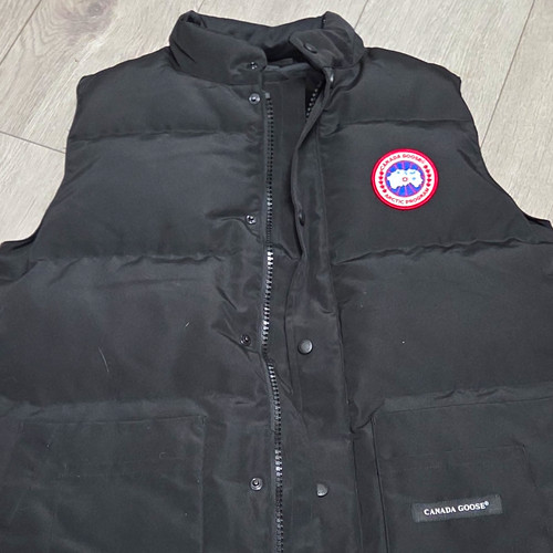 Canada goose arctic - goose,