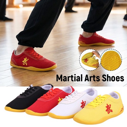 Martial arts tai chi - martial,