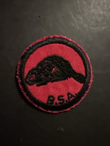 Boy scout beaver - boy,